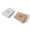 Color Kraft Paper Bag ( Single Color Logo )
